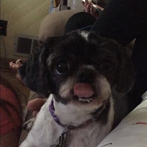 Meet your Posher, Brielle